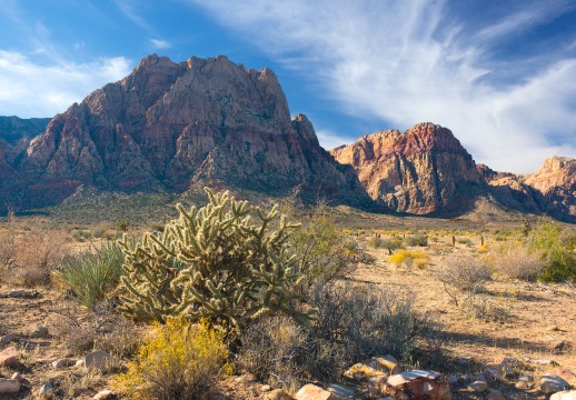 First View, Red Rock Canyon